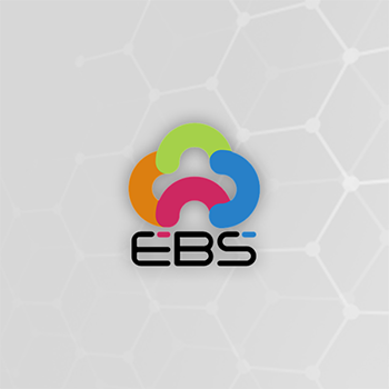 Picture of EBS Payment Plugin for nopCommerce